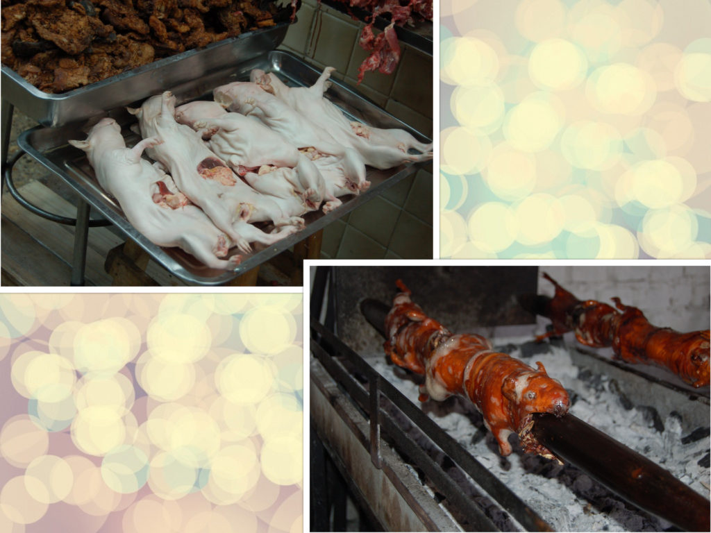 Preparation of the guinea pig before serving in the restaurant. 