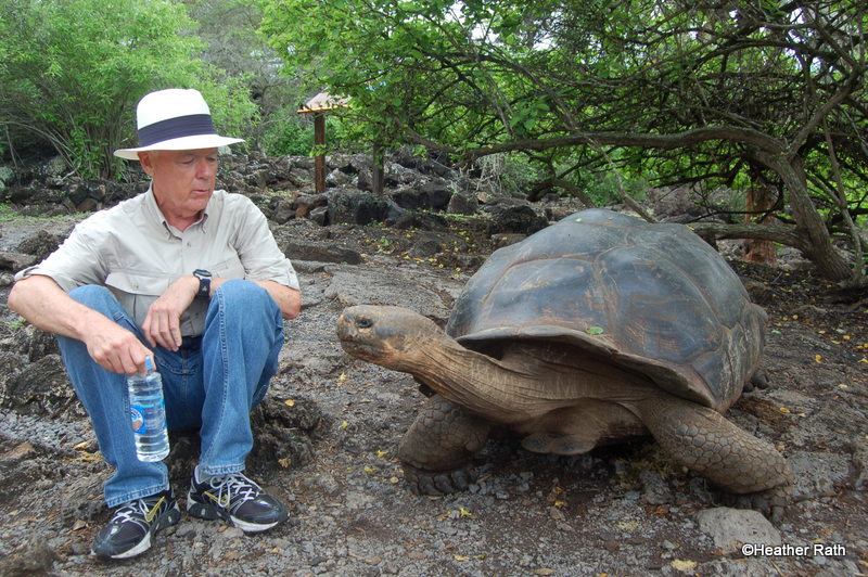 Lonesome George, the last of his species,Santa Cruz Island