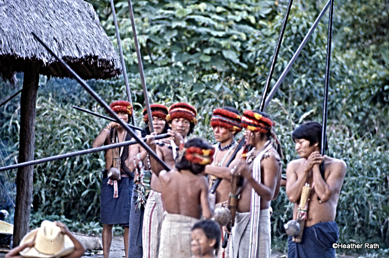 Young Jivaro Hunters demonstrate the use of blow-guns