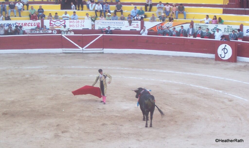 The Matador & the bull - classic bullfighting pose