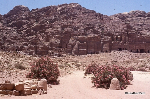 many rock buildings