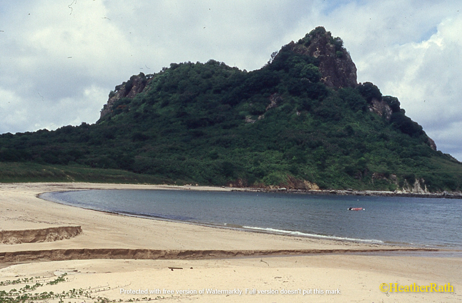 Another beautiful and deserted beach