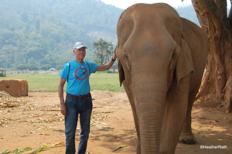 Why We Don’t Ride Elephants in Thailand