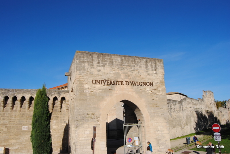 Universite D'Avignon