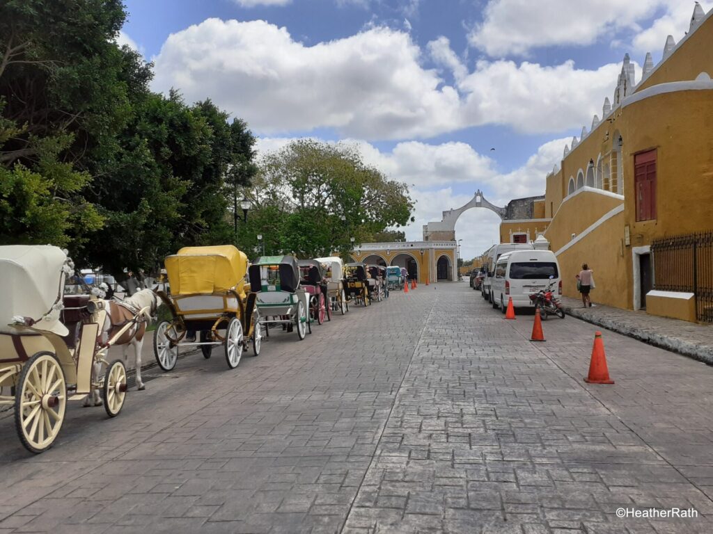 Line of Carriage rides available in the Yellow City