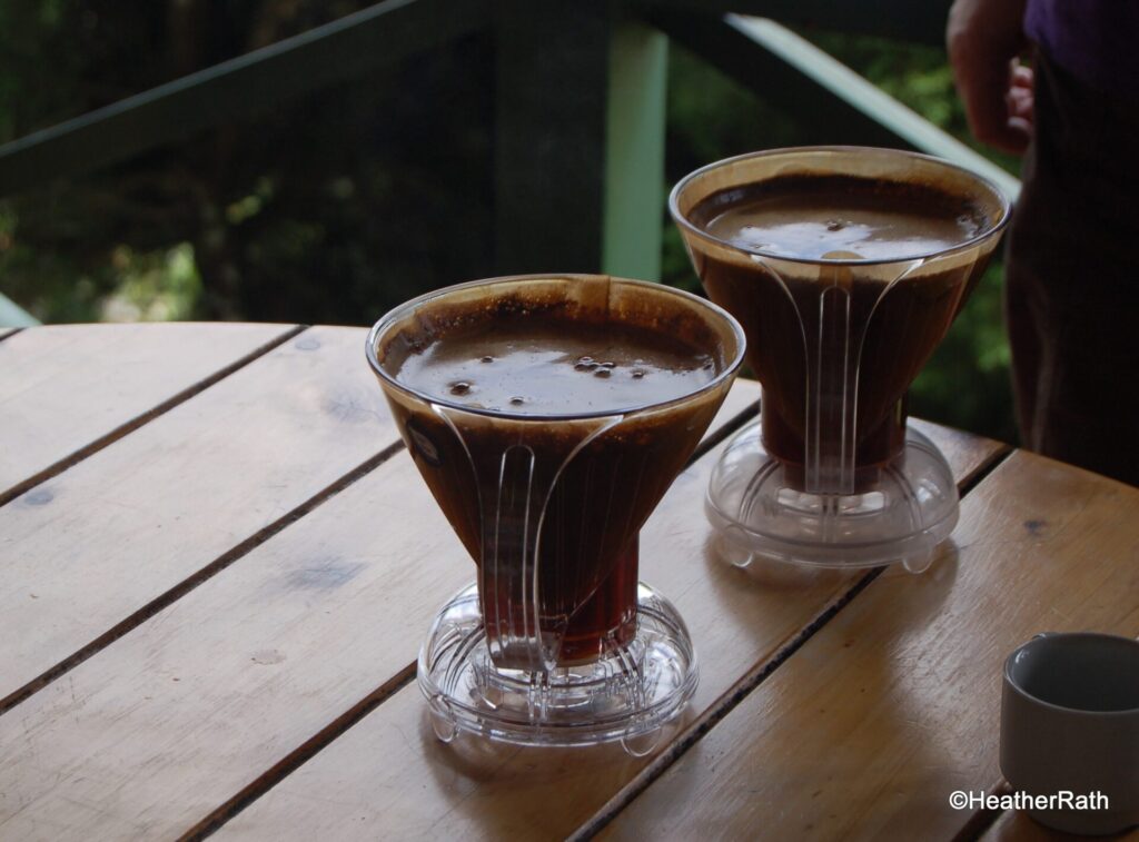 Wonderful Geisha coffee brewing in special coffee drippers