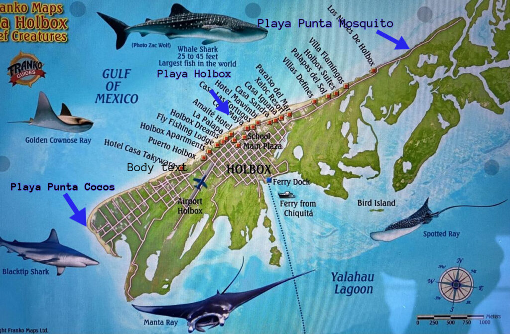 image of map of holbox