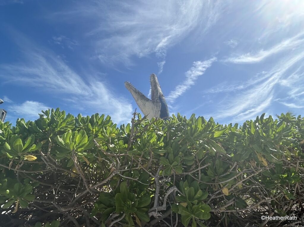 pic of a mosasaurus outside the Meteorite museun in Progreso Yucatan