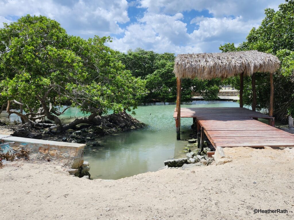 pic of the cenote at the edge of town Rio Lagartos Yucatan which is free to use
