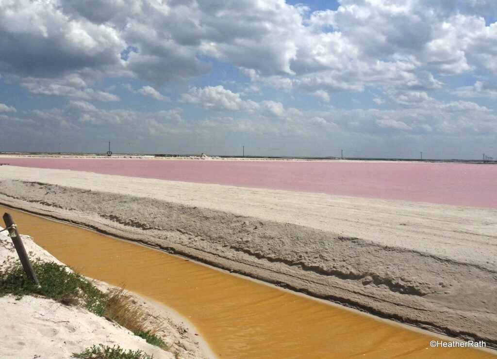 PInk Lake - salt water evaporating with containing small pink algae
