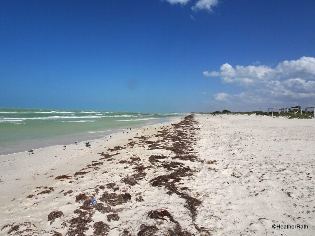Cancunito endless beach in both directions -just outside Rio Lagartos Yucatan