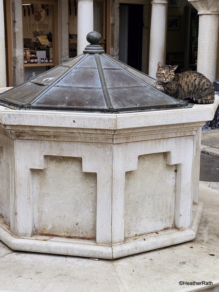 Venetian Wellhead with local cat