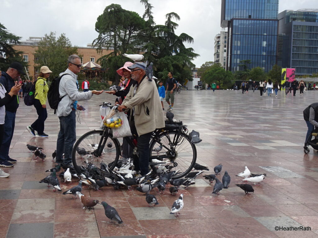 pic of man on bicycle feeding pigeons in Skanderbeg Square